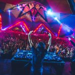 do lab coachella