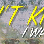 Kim Cameron - Didn’t Know I Was Fallin’