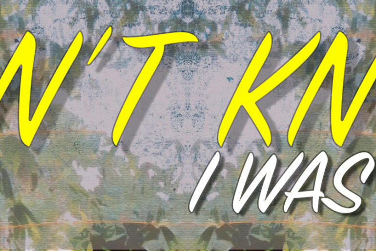 Kim Cameron - Didn’t Know I Was Fallin’