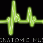 The Sugarhill Gang, Furious 5