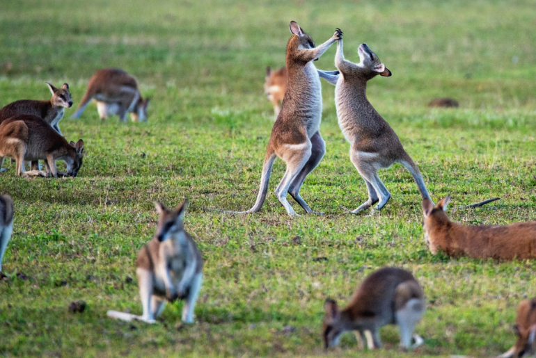 DJing holiday parties