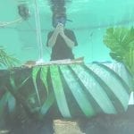 Chet Porter Underwater DJ Set