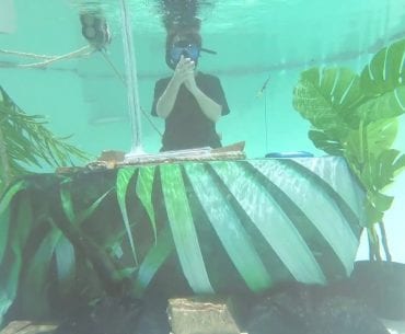 Chet Porter Underwater DJ Set