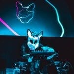 slow magic interview